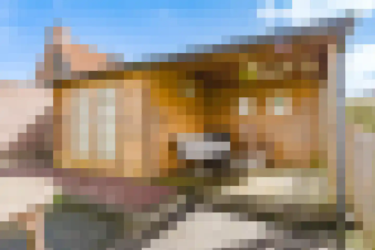 Tsjoele 8 Scharsterbrug thumbnail 36