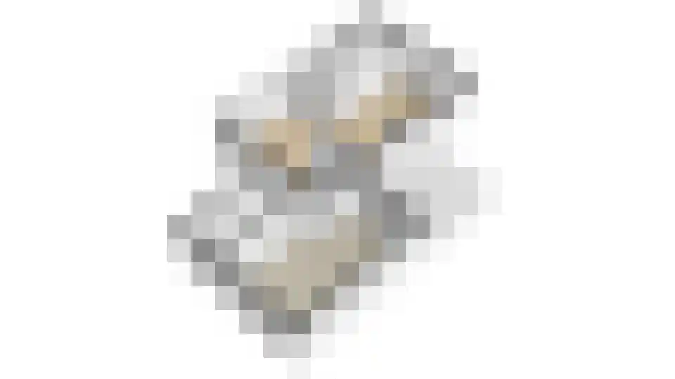 Tsjoele 8 Scharsterbrug thumbnail 38