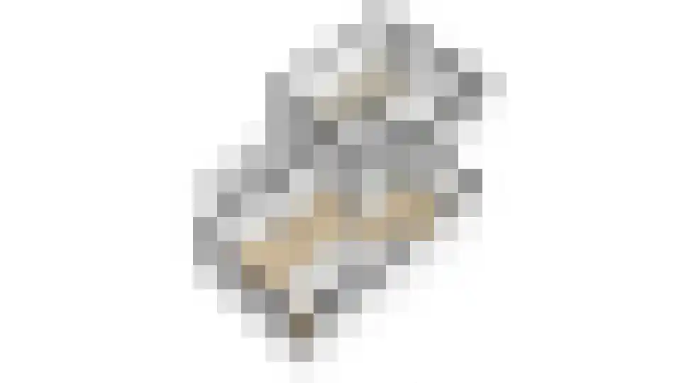 Tsjoele 8 Scharsterbrug thumbnail 39