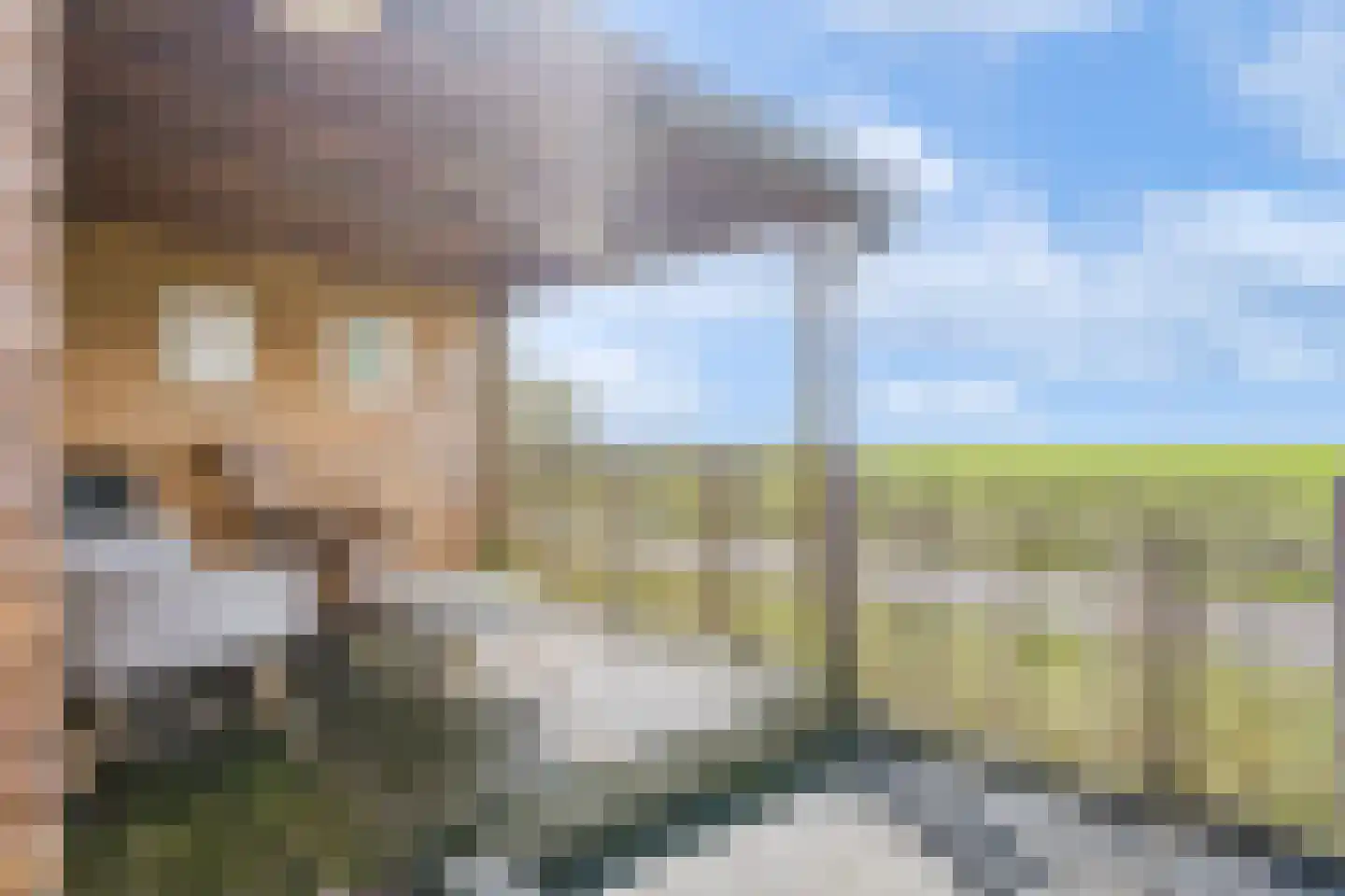 Tsjoele 8 Scharsterbrug thumbnail 4