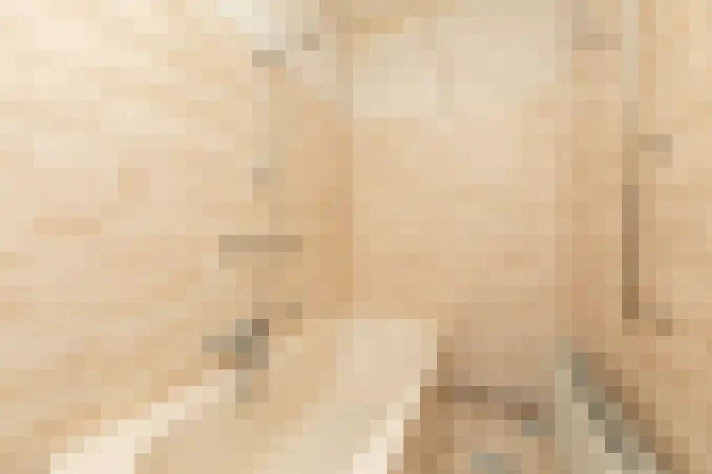 Tsjomme Wiardaleane 11 Sneek thumbnail 15