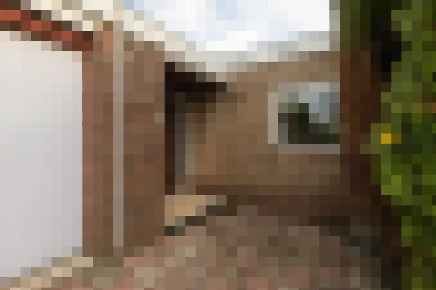 Tsjomme Wiardaleane 11 Sneek thumbnail 25