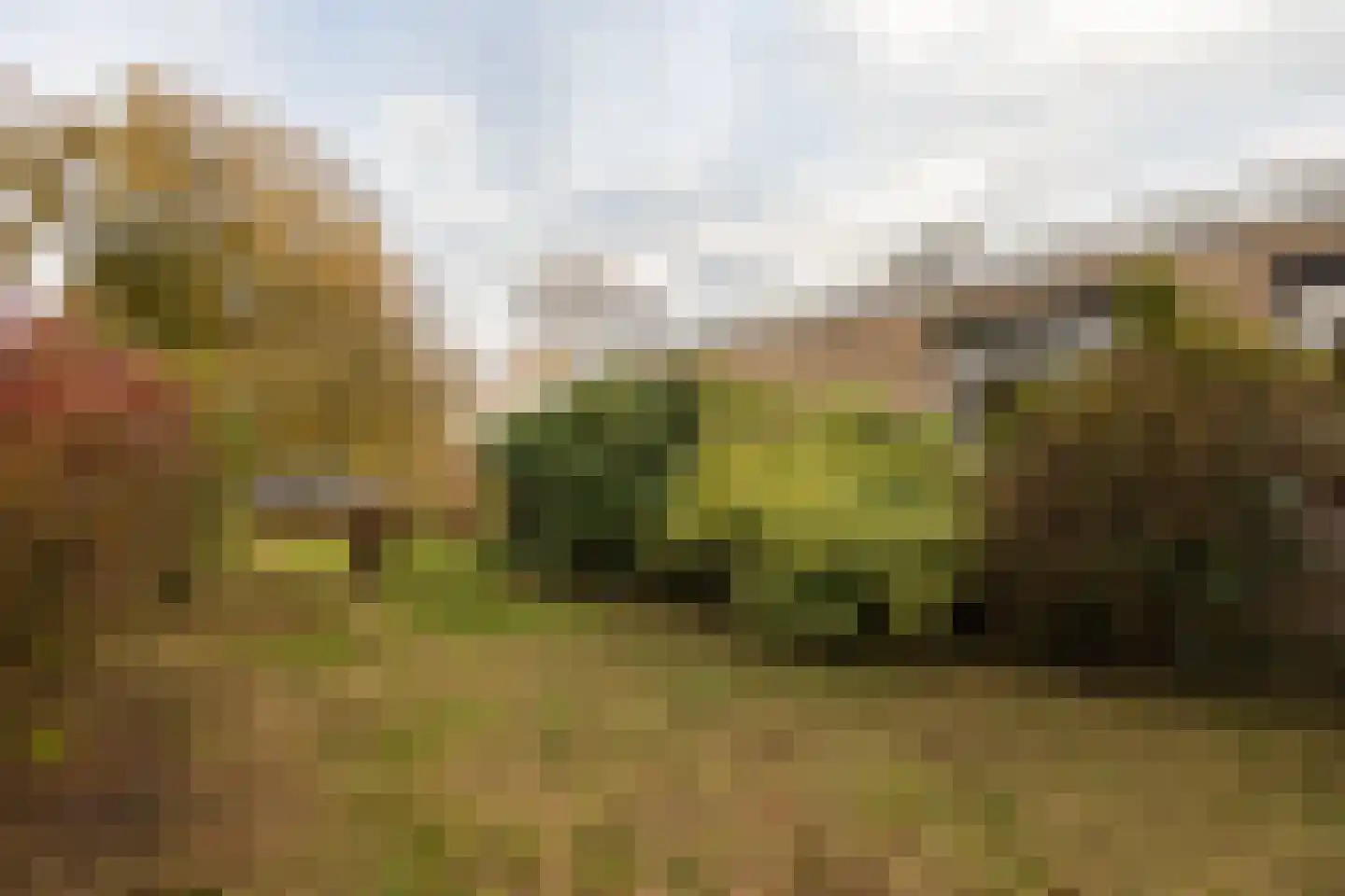 Tsjomme Wiardaleane 11 Sneek thumbnail 27