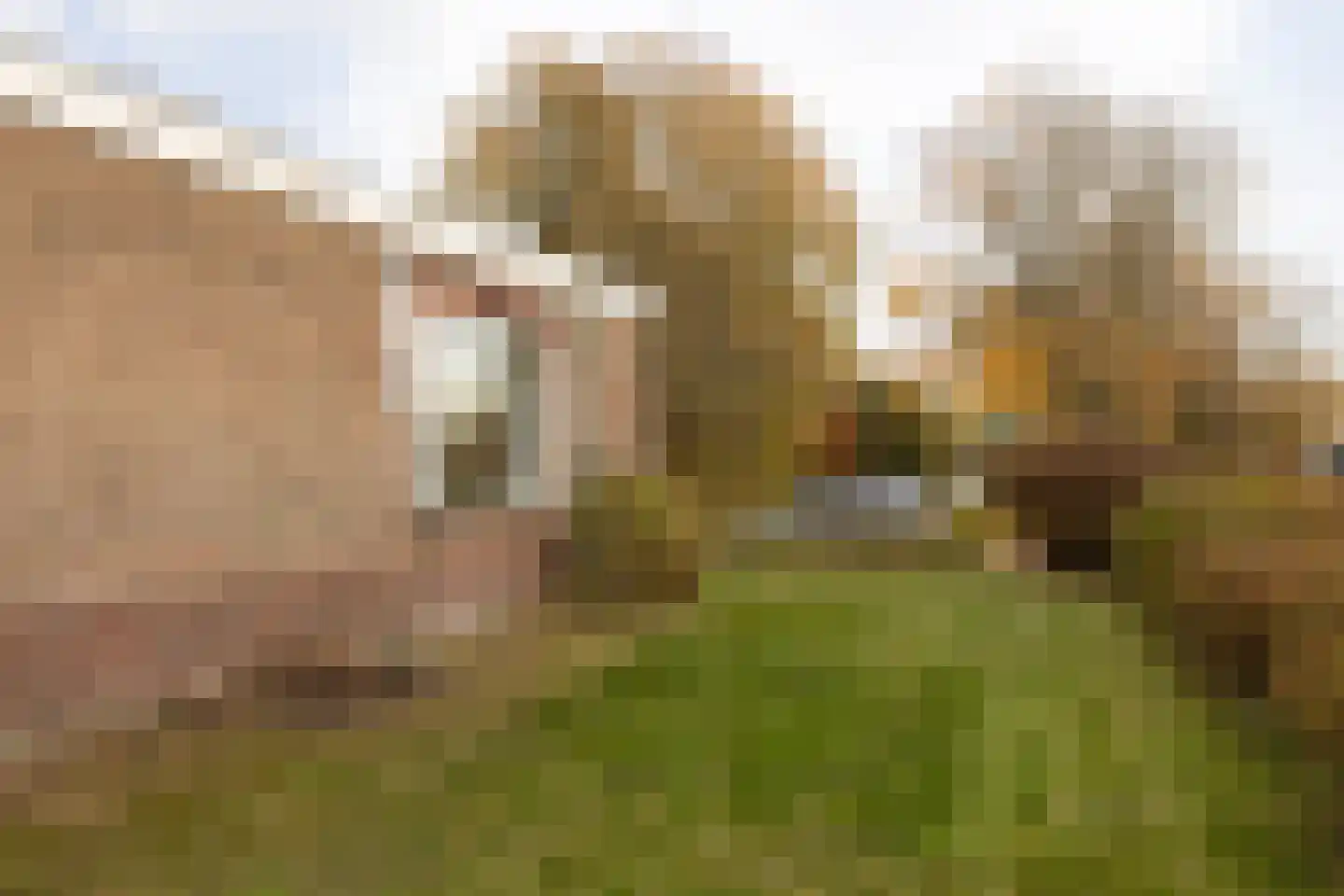 Tsjomme Wiardaleane 11 Sneek thumbnail 28