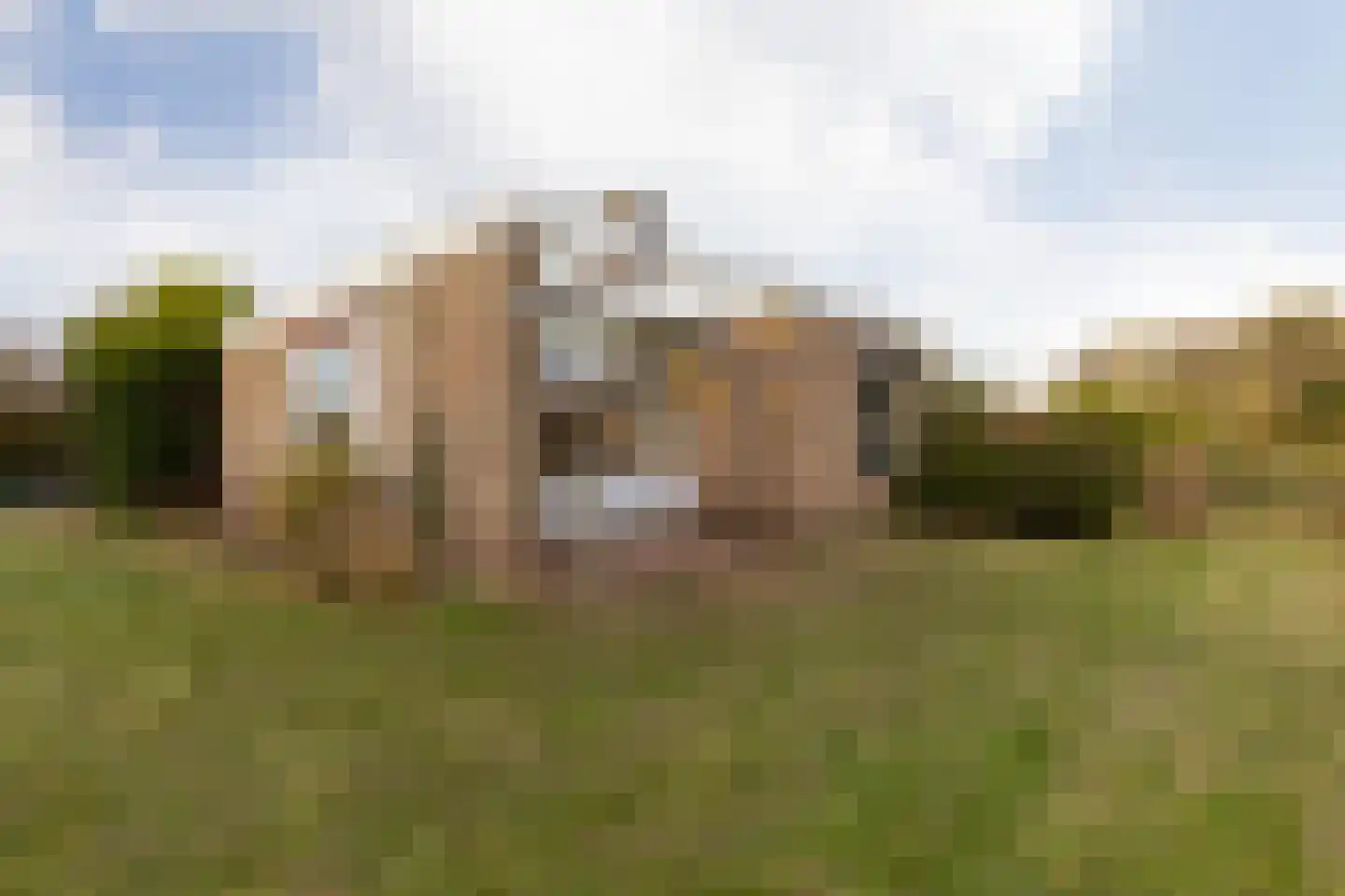 Tsjomme Wiardaleane 11 Sneek thumbnail 29