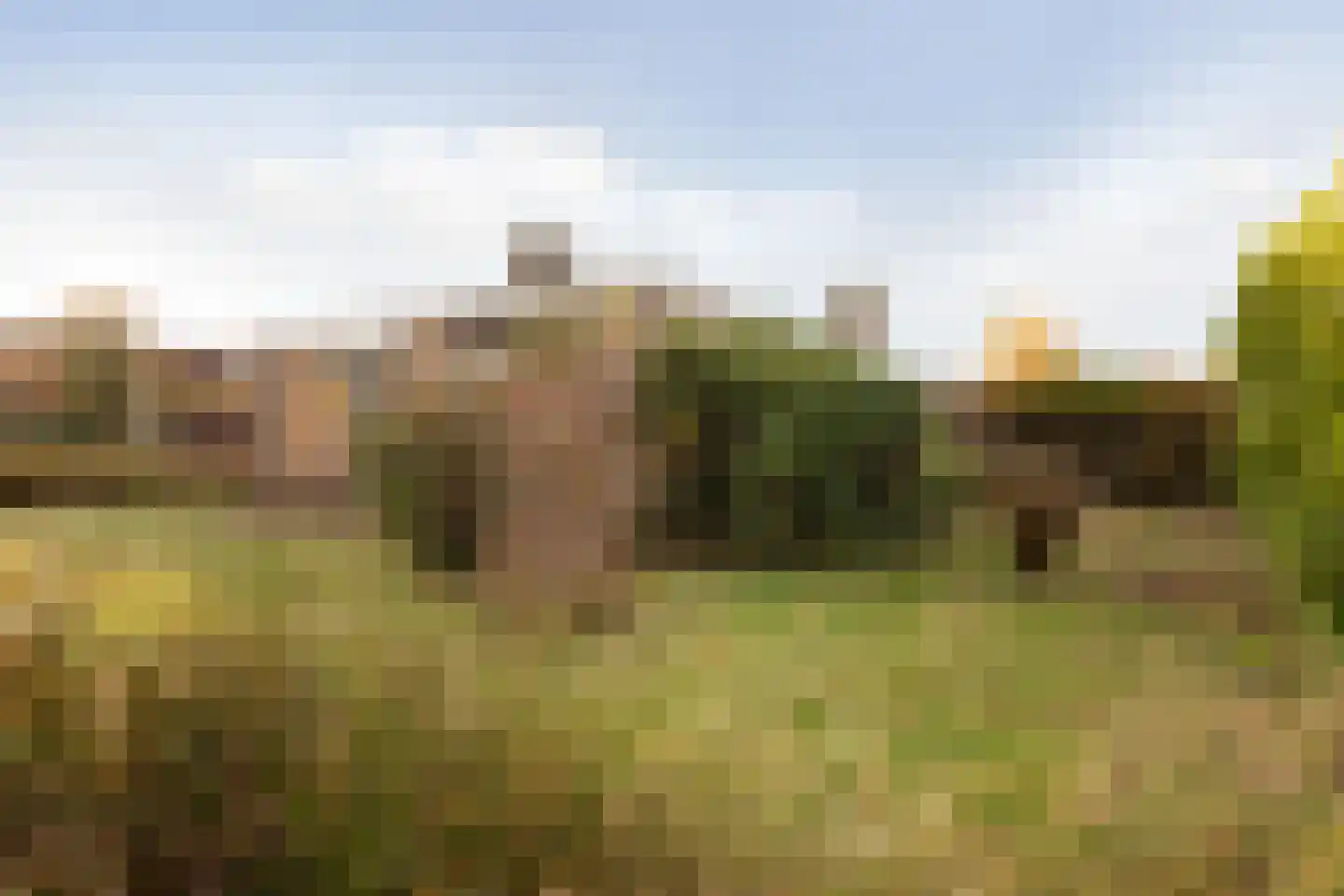 Tsjomme Wiardaleane 11 Sneek thumbnail 31