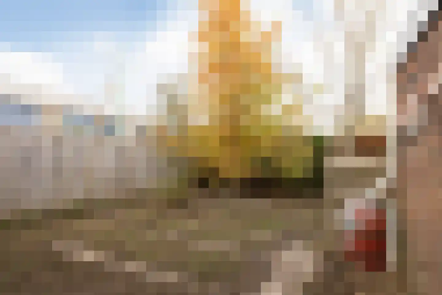 Tsjomme Wiardaleane 11 Sneek thumbnail 32