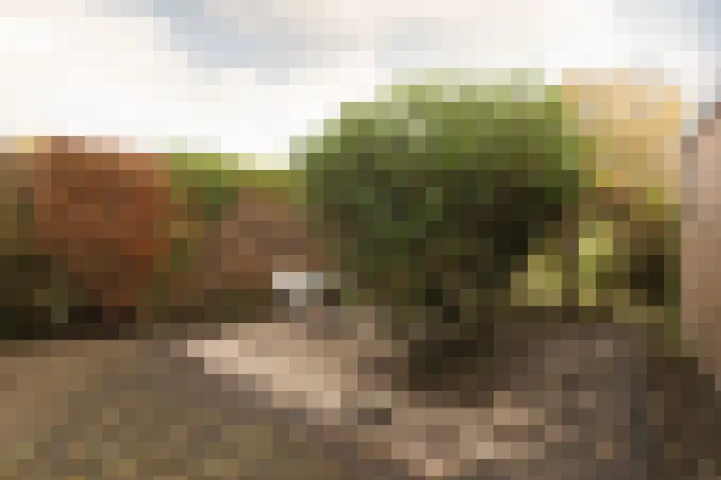 Tsjomme Wiardaleane 11 Sneek thumbnail 33
