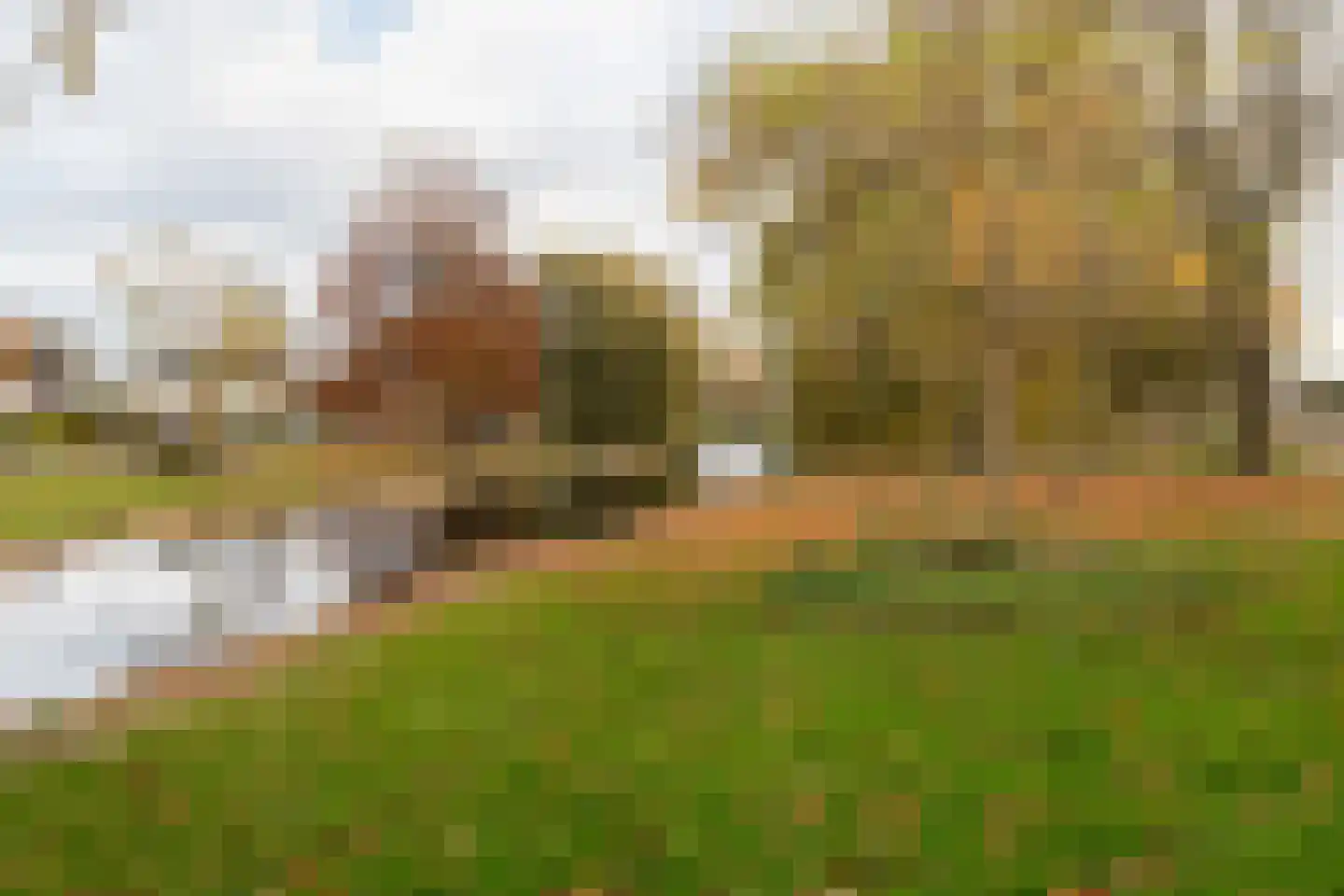 Tsjomme Wiardaleane 11 Sneek thumbnail 4