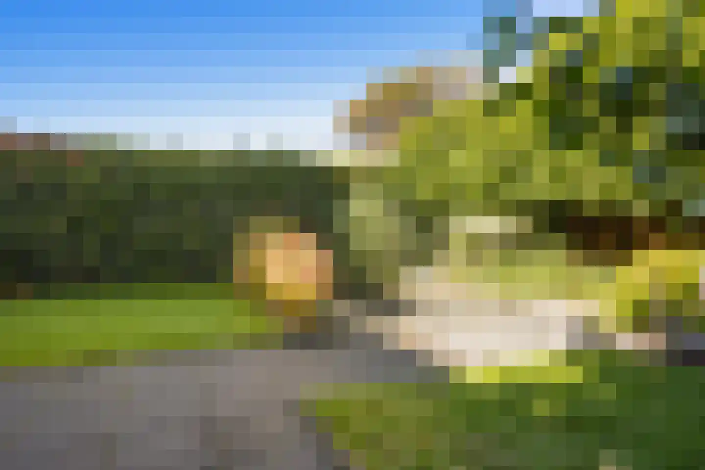 Tsjotter 4 Gorredijk thumbnail 21