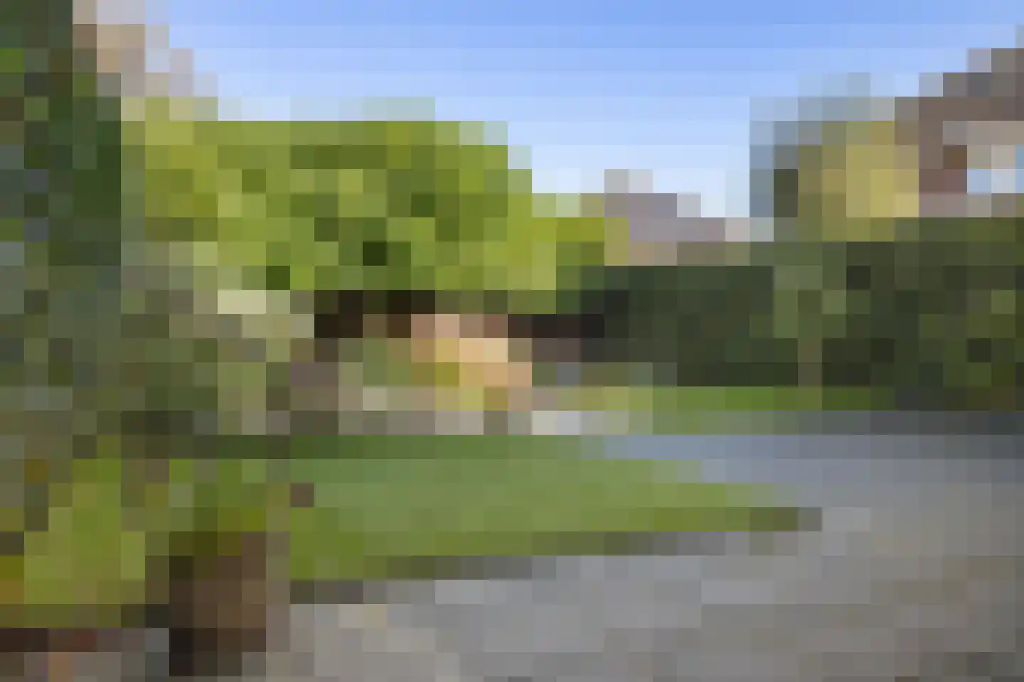 Tsjotter 4 Gorredijk thumbnail 24
