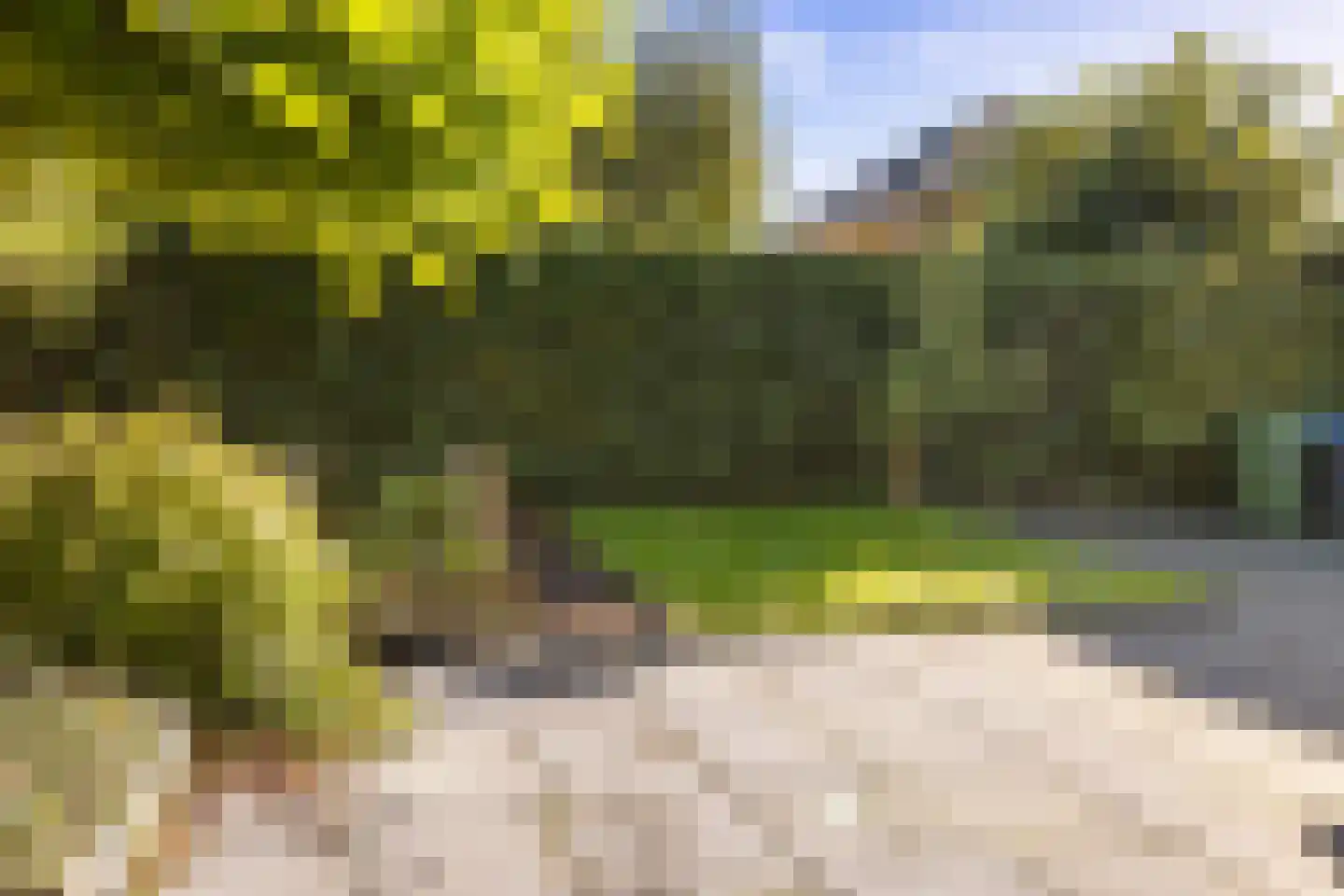 Tsjotter 4 Gorredijk thumbnail 25