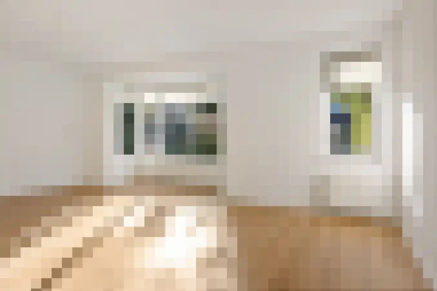 Tsjotter 4 Gorredijk thumbnail 4