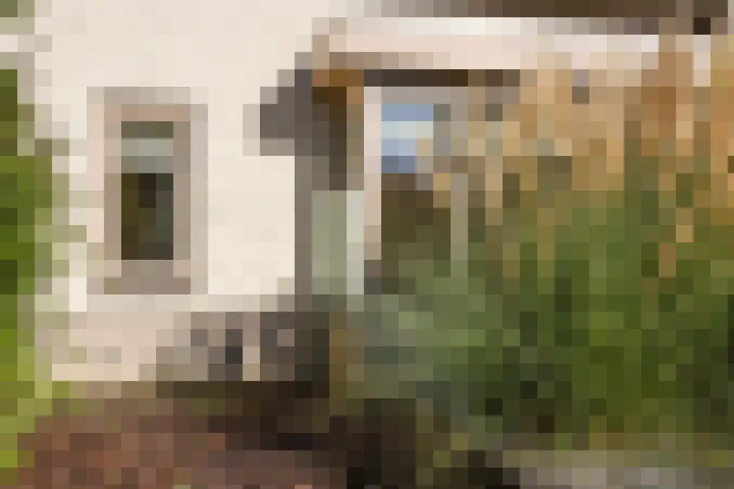 Tsjotter 4 Gorredijk thumbnail 41