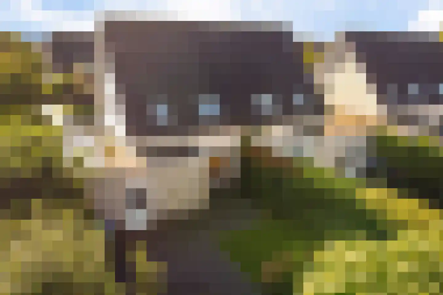 Tsjotter 4 Gorredijk thumbnail 46