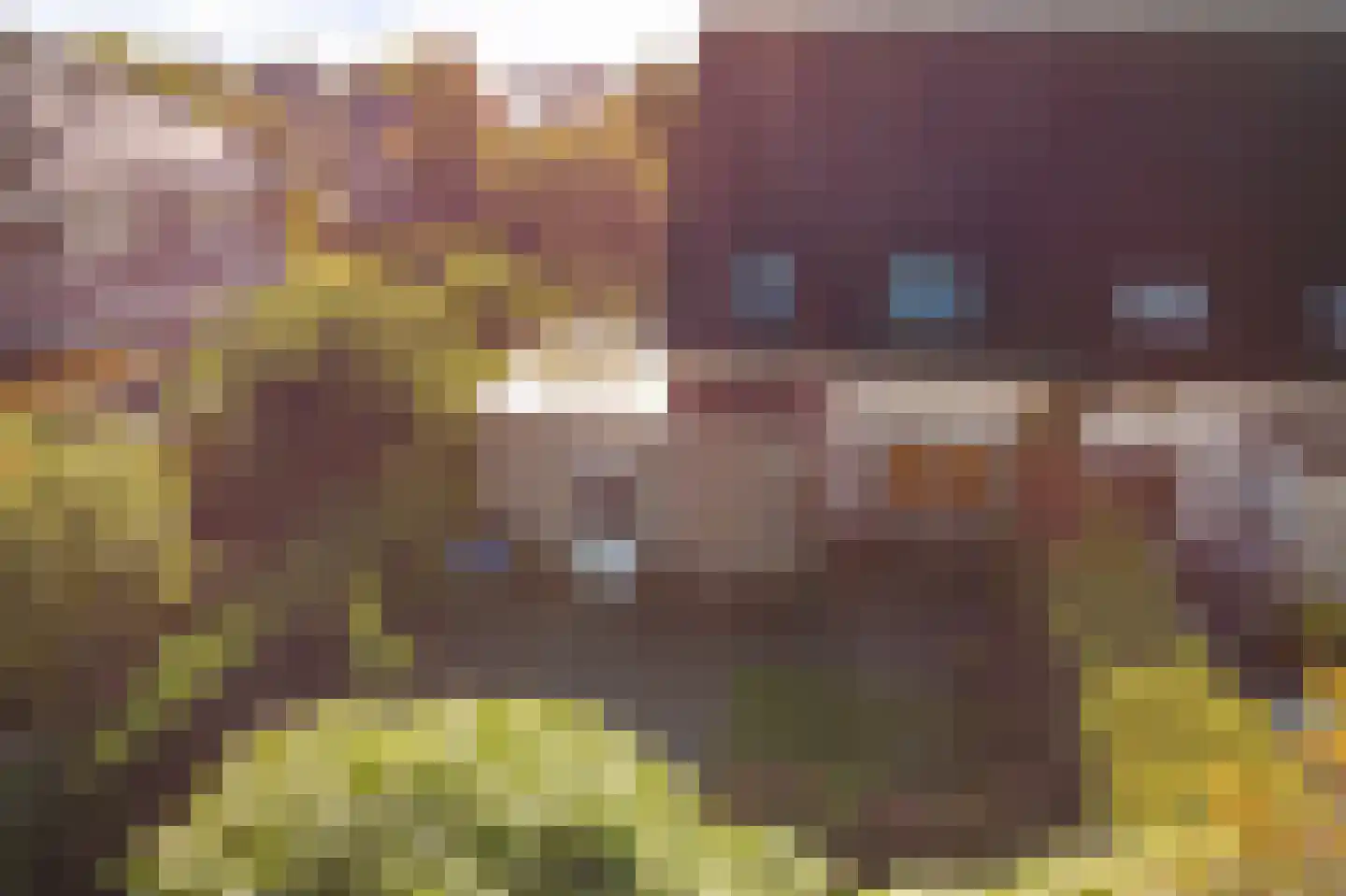 Tsjotter 4 Gorredijk thumbnail 47