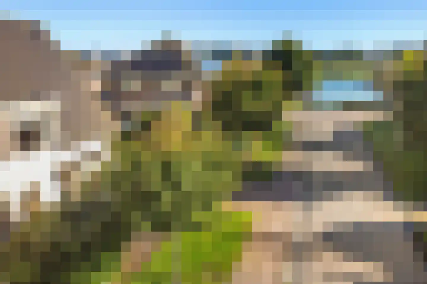 Tsjotter 4 Gorredijk thumbnail 48