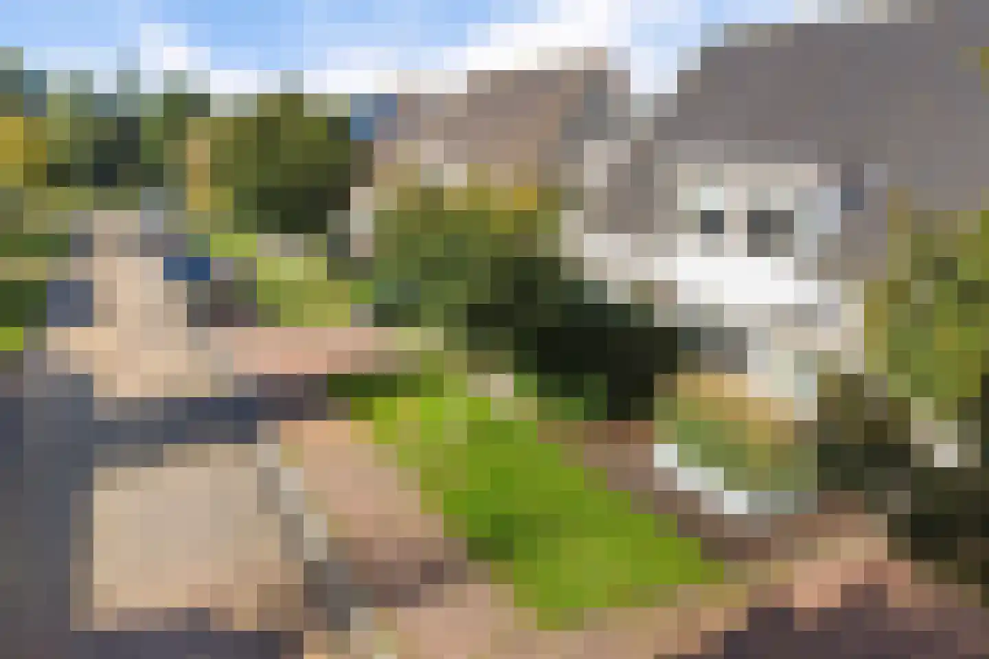 Tsjotter 4 Gorredijk thumbnail 49