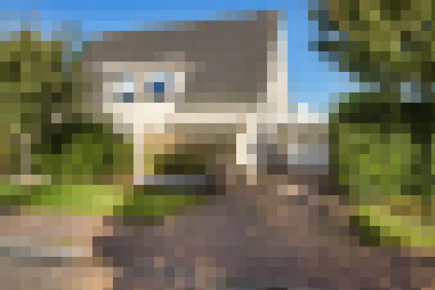Tsjotter 4 Gorredijk thumbnail 7