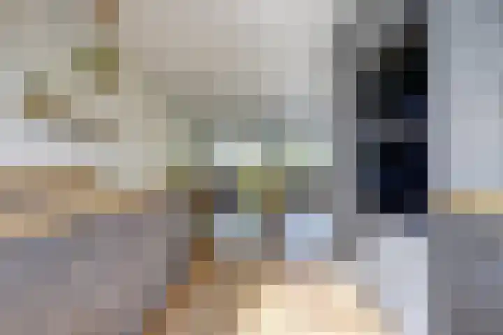 Tuba 11 De Lier thumbnail 10