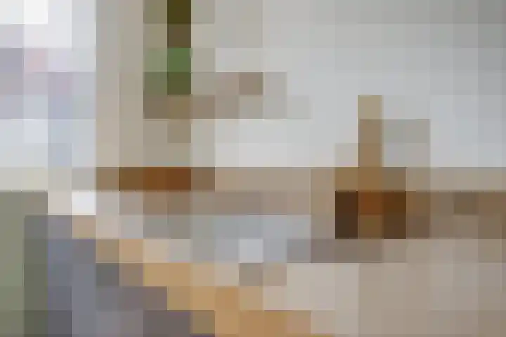 Tuba 11 De Lier thumbnail 11