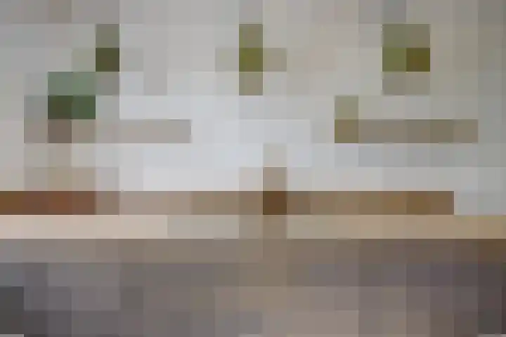 Tuba 11 De Lier thumbnail 12