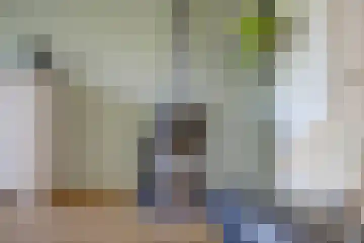Tuba 11 De Lier thumbnail 14