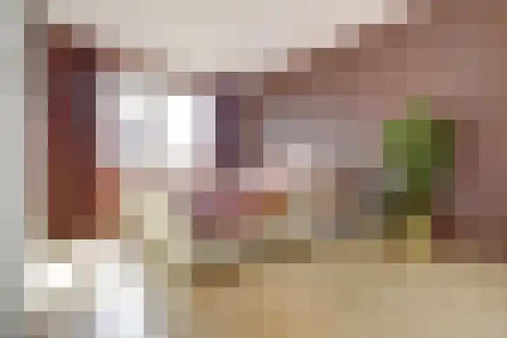 Tuba 11 De Lier thumbnail 20