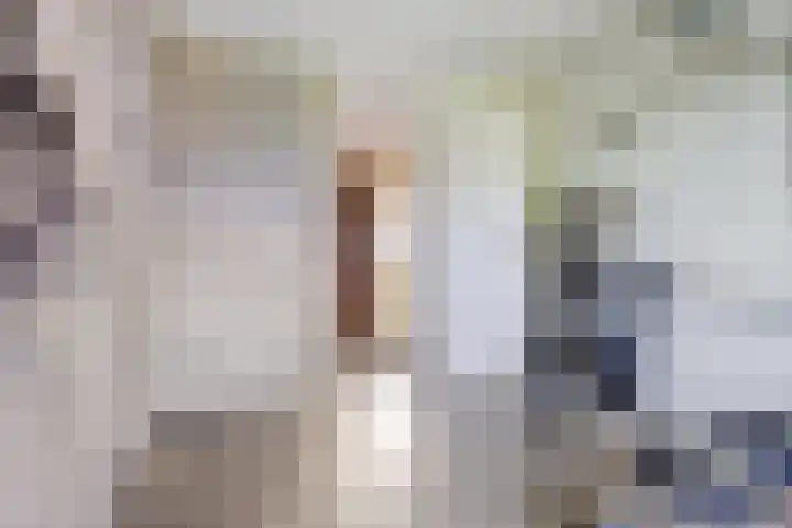 Tuba 11 De Lier thumbnail 25