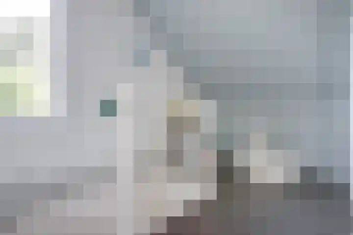 Tuba 11 De Lier thumbnail 29