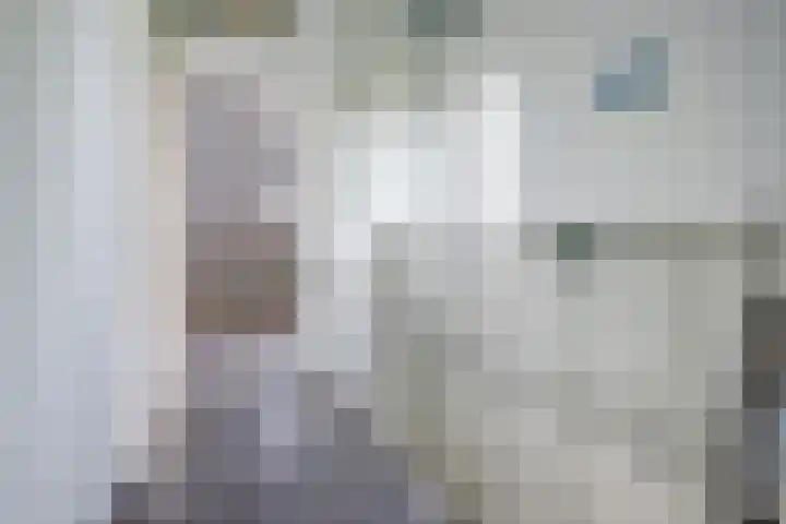 Tuba 11 De Lier thumbnail 30