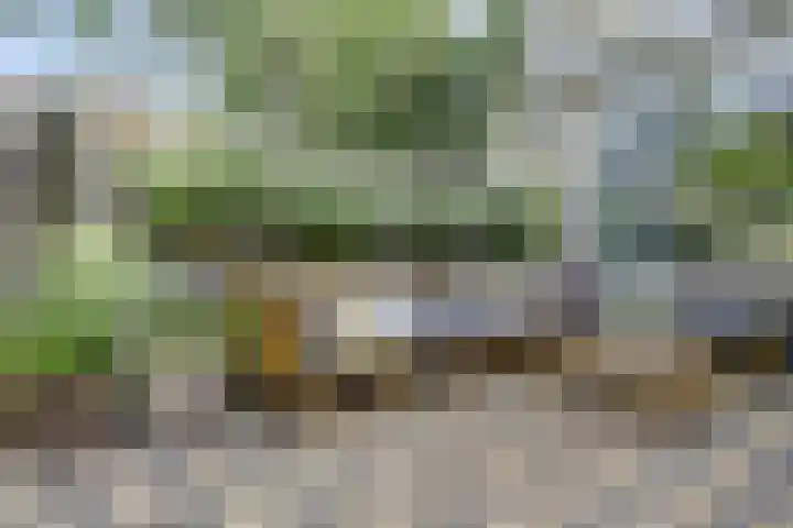 Tuba 11 De Lier thumbnail 36