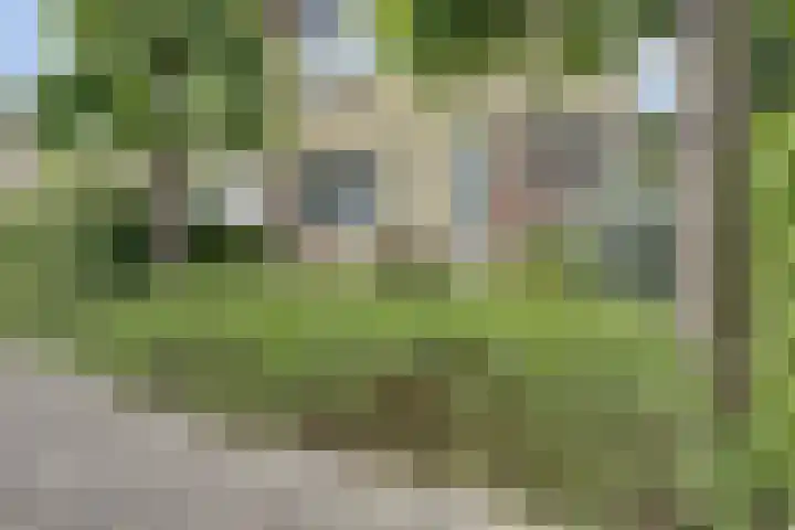 Tuba 11 De Lier thumbnail 40