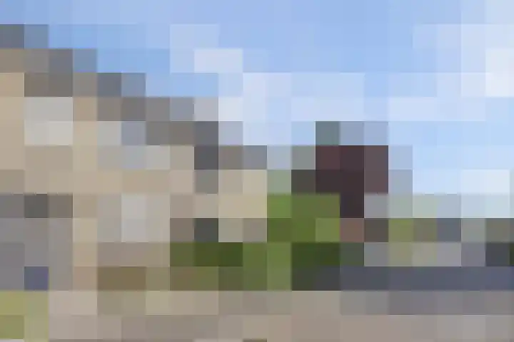 Tuba 11 De Lier thumbnail 41