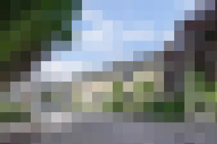 Tuba 11 De Lier thumbnail 42