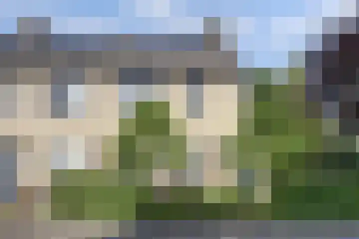 Tuba 11 De Lier thumbnail 46