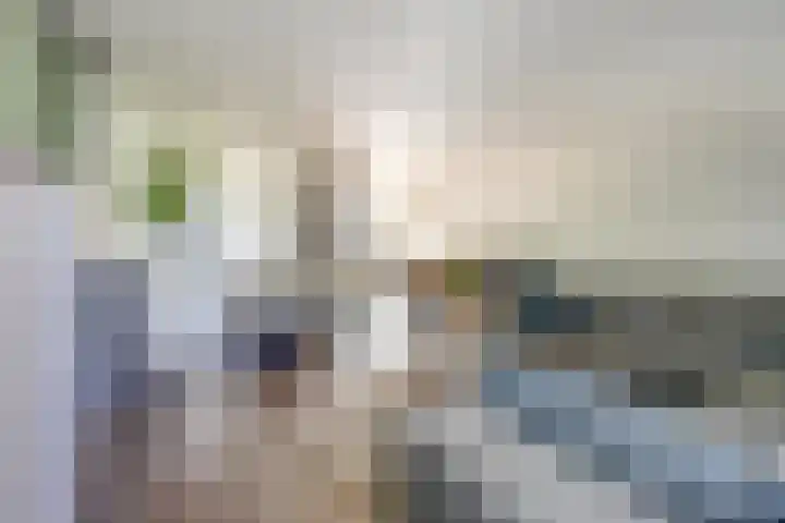 Tuba 11 De Lier thumbnail 7