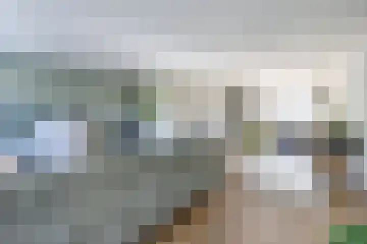 Tuba 11 De Lier thumbnail 8