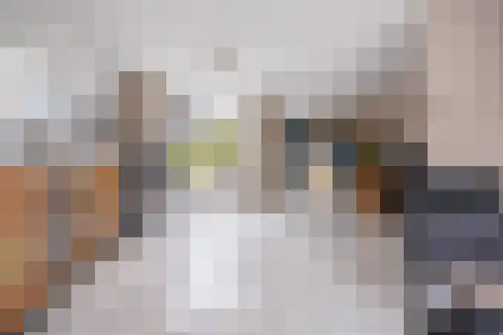 Tuba 16 Ewijk thumbnail 11
