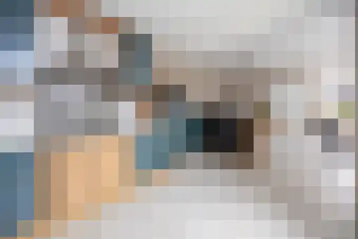Tuba 16 Ewijk thumbnail 17