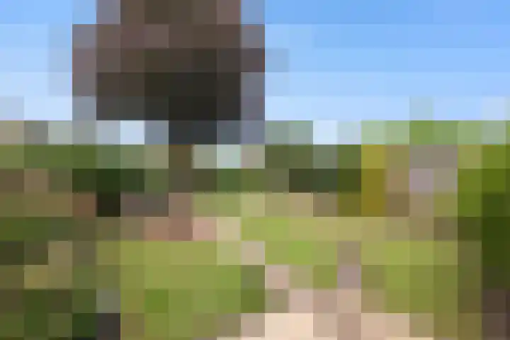 Tuba 16 Ewijk thumbnail 34
