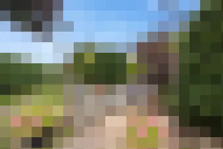 Tuba 16 Ewijk thumbnail 35