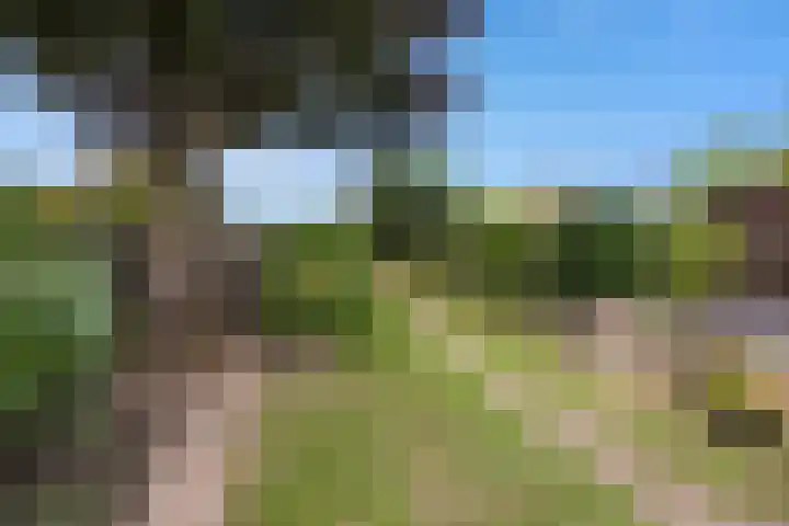Tuba 16 Ewijk thumbnail 36