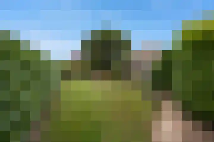 Tuba 16 Ewijk thumbnail 37