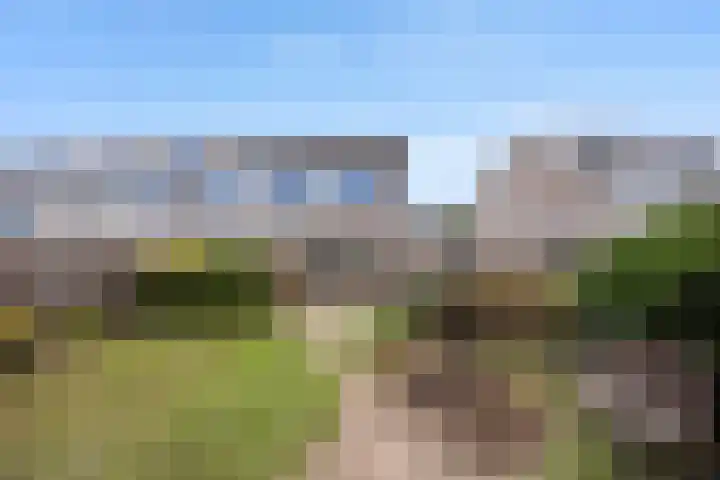 Tuba 16 Ewijk thumbnail 39