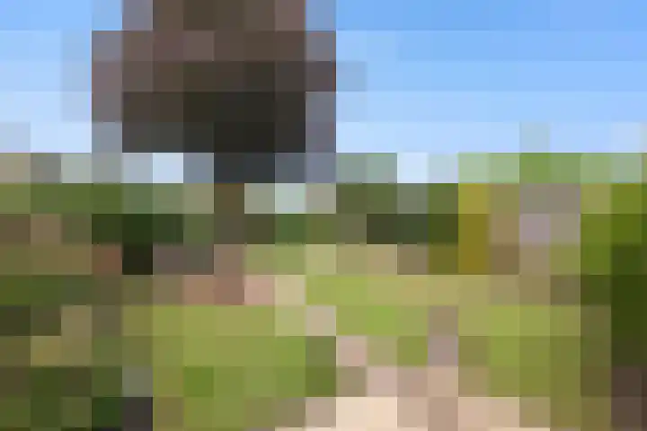 Tuba 16 Ewijk thumbnail 4