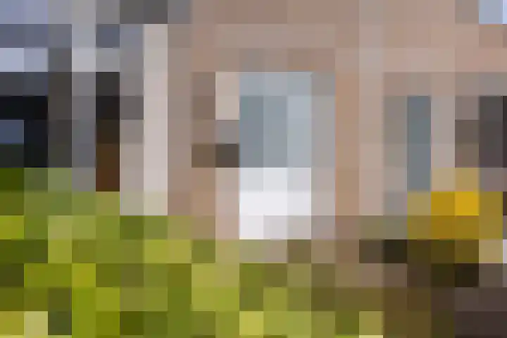 Tuba 16 Ewijk thumbnail 40