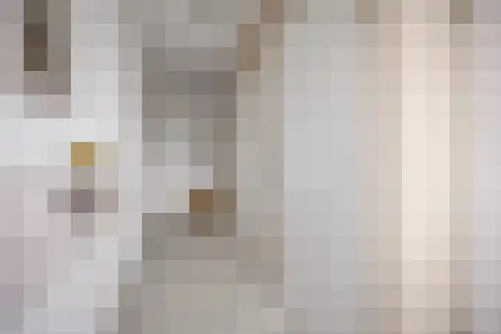 Tuba 16 Ewijk thumbnail 6