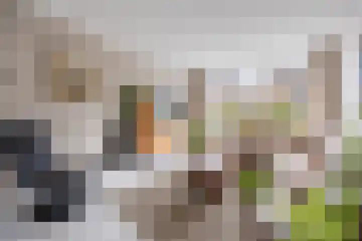 Tuba 16 Ewijk thumbnail 9
