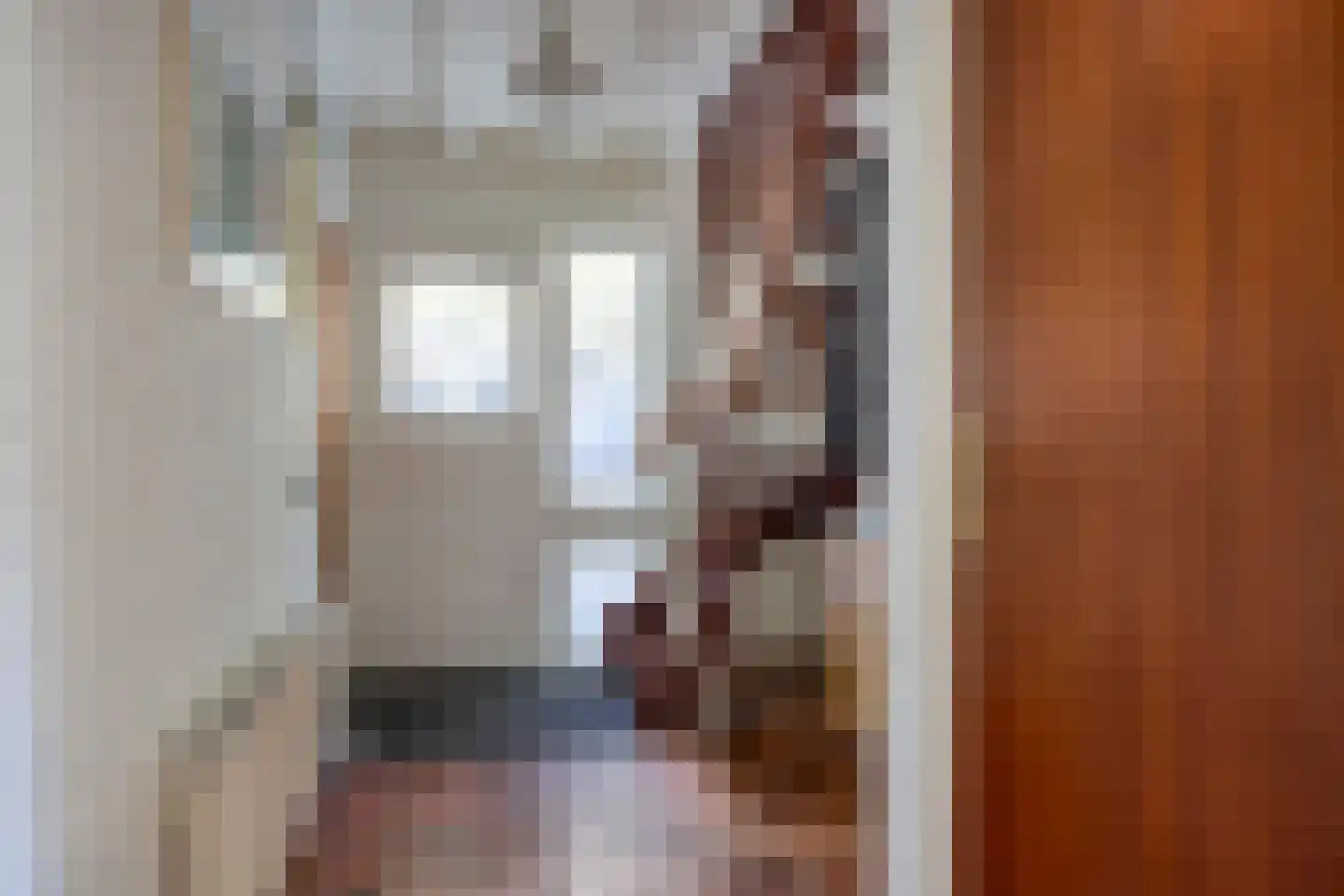Tuba 2 Ewijk thumbnail 18